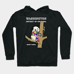 Washington, District of Columbia, Giant Panda, Love, Valentines Day, State, Heart, Home Hoodie